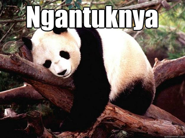 Ngantuknya   Procrastination Panda