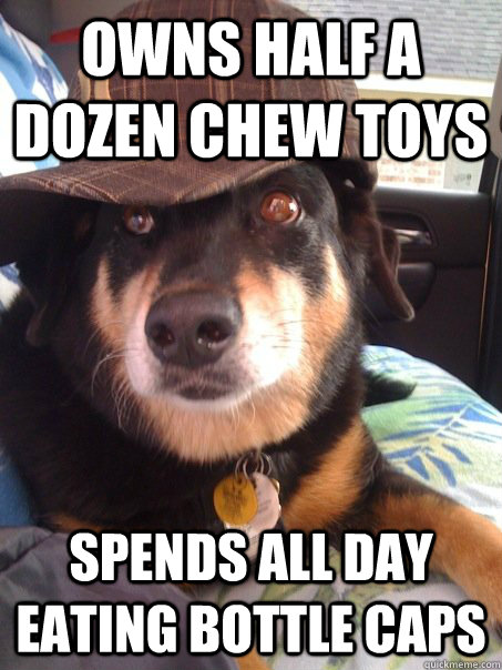 Owns half a dozen chew toys Spends all day eating bottle caps  Scumbag dog