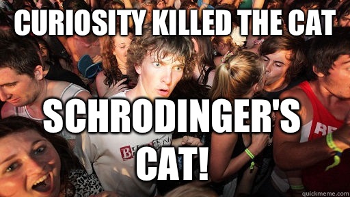 Curiosity killed the cat Schrodinger's Cat! - Curiosity killed the cat Schrodinger's Cat!  Sudden Clarity Clarence