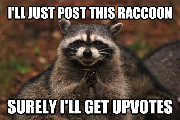 I'LL JUST POST THIS RACCOON SURELY I'LL GET UPVOTES - I'LL JUST POST THIS RACCOON SURELY I'LL GET UPVOTES  Evil Plotting Raccoon