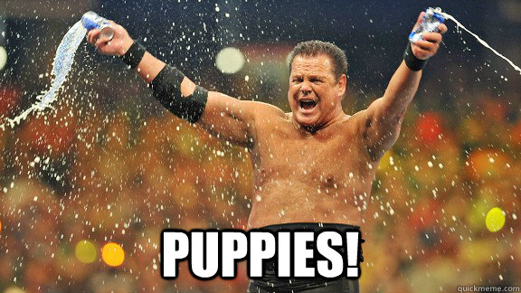  PUPPIES! -  PUPPIES!  Jerry The King Lawler