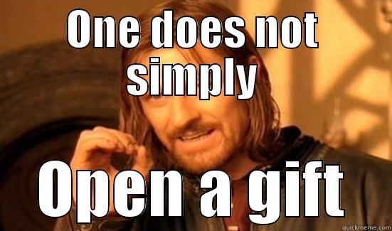 ONE DOES NOT SIMPLY OPEN A GIFT Boromir