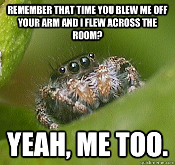 Remember that time you blew me off your arm and I flew across the room? YEAH, ME TOO.  Misunderstood Spider