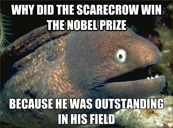 Why did the scarecrow win the nobel prize because He was outstanding in his field Caption 3 goes here  