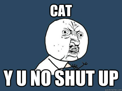 Cat y u no shut up - Cat y u no shut up  Y U No