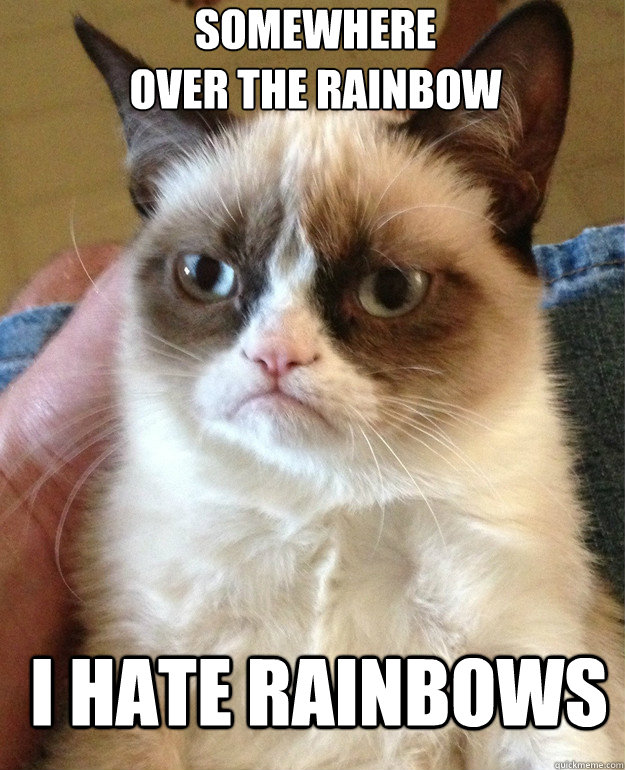 Somewhere 
over the rainbow i hate rainbows  Grumpy Cat