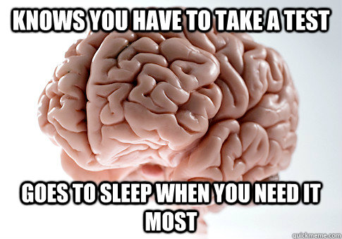 Knows you have to take a test Goes to sleep when you need it most  Scumbag Brain