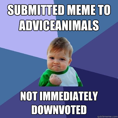 Submitted meme to adviceanimals not immediately downvoted  Success Kid