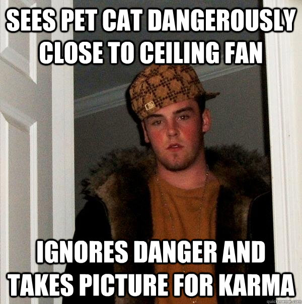 Sees pet cat dangerously close to ceiling fan ignores danger and takes picture for karma  Scumbag Steve