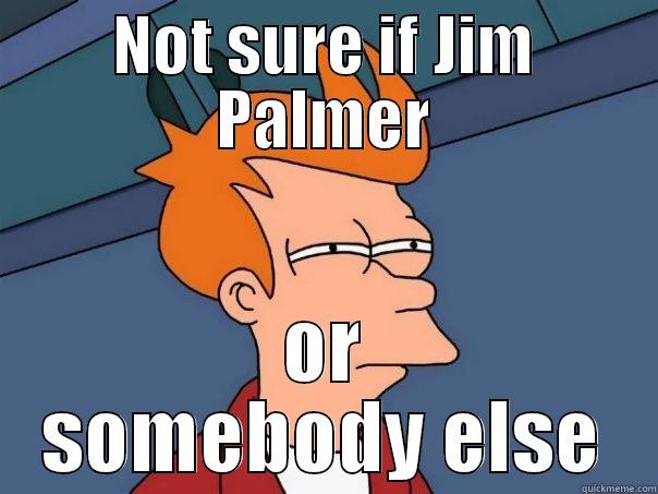 NOT SURE IF JIM PALMER OR SOMEBODY ELSE Futurama Fry