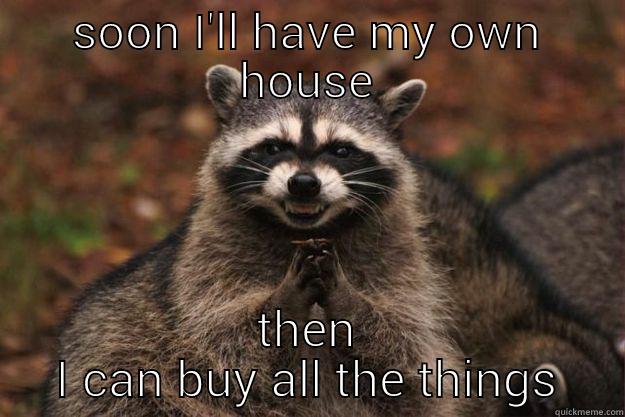 SOON I'LL HAVE MY OWN HOUSE THEN I CAN BUY ALL THE THINGS Evil Plotting Raccoon