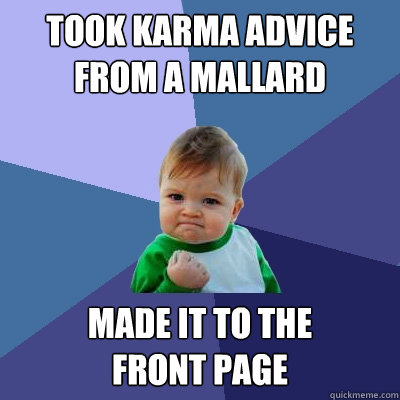 Took karma advice from a mallard made it to the 
front page  Success Kid