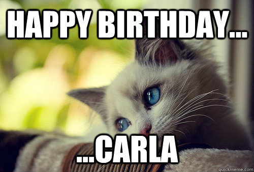 happy birthday... ...carla  First World Problems Cat