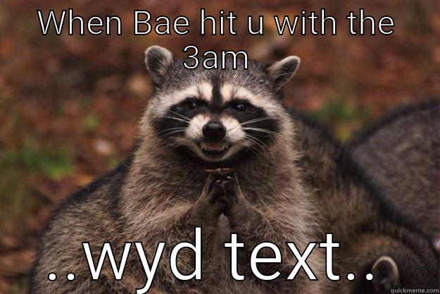 WHEN BAE HIT U WITH THE 3AM ..WYD TEXT.. Evil Plotting Raccoon