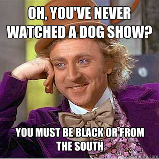 Oh, you've never  watched a dog show? You must be black or from the south - Oh, you've never  watched a dog show? You must be black or from the south  Condescending Wonka