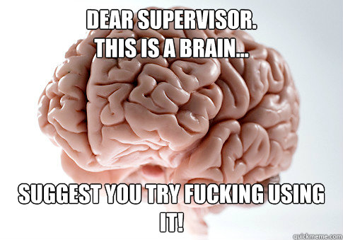 Dear Supervisor.
tHIS IS A bRAIN... sUGGEST YOU TRY FUCKING USING IT!  Scumbag Brain