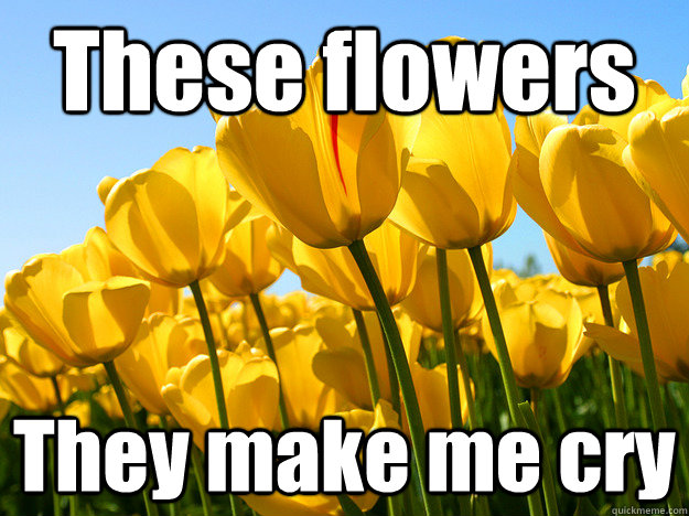 These flowers They make me cry - These flowers They make me cry  Allergies