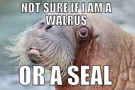 NOT SURE IF I AM A WALRUS OR A SEAL Misc