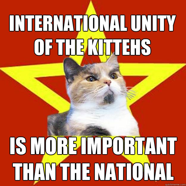 International unity of the kittehs is more important than the national  Lenin Cat