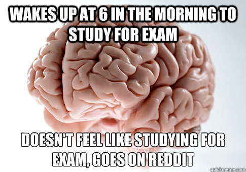 Wakes up at 6 in the morning to study for exam doesn't feel like studying for exam, goes on reddit  - Wakes up at 6 in the morning to study for exam doesn't feel like studying for exam, goes on reddit   Scumbag Brain