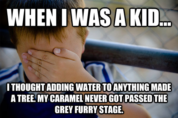 WHEN I WAS A KID... I THOUGHT ADDING WATER TO ANYTHING MADE A TREE. MY CARAMEL NEVER GOT PASSED THE GREY FURRY STAGE. - WHEN I WAS A KID... I THOUGHT ADDING WATER TO ANYTHING MADE A TREE. MY CARAMEL NEVER GOT PASSED THE GREY FURRY STAGE.  Confession kid