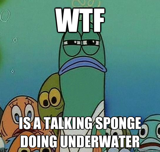 wtf is a talking sponge doing underwater  Serious fish SpongeBob