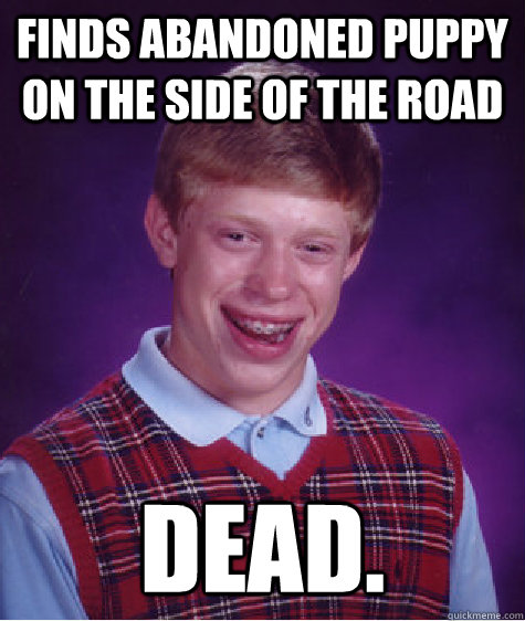 Finds abandoned puppy on the side of the road dead. - Finds abandoned puppy on the side of the road dead.  Bad Luck Brian