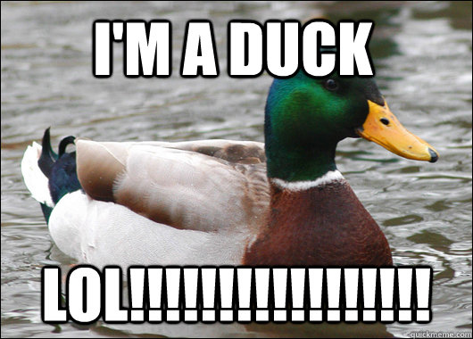 I'm a duck LOl!!!!!!!!!!!!!!!!! - I'm a duck LOl!!!!!!!!!!!!!!!!!  Actual Advice Mallard