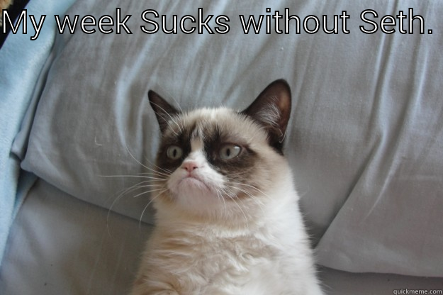 MY WEEK SUCKS WITHOUT SETH.   Grumpy Cat