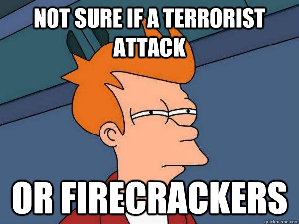 Not sure if a terrorist attack or firecrackers  Futurama Fry