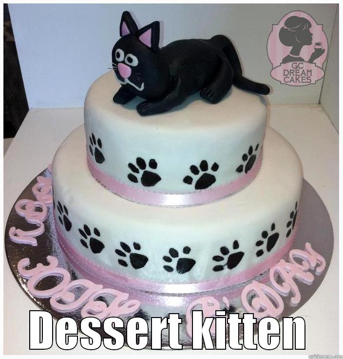 dessert kitten -  DESSERT KITTEN Misc