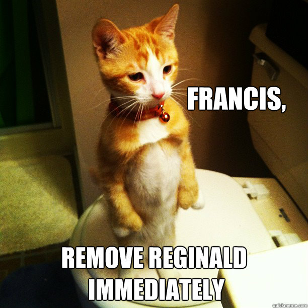 Francis, Remove Reginald
 immediately - Francis, Remove Reginald
 immediately  likdisifucryeverytym