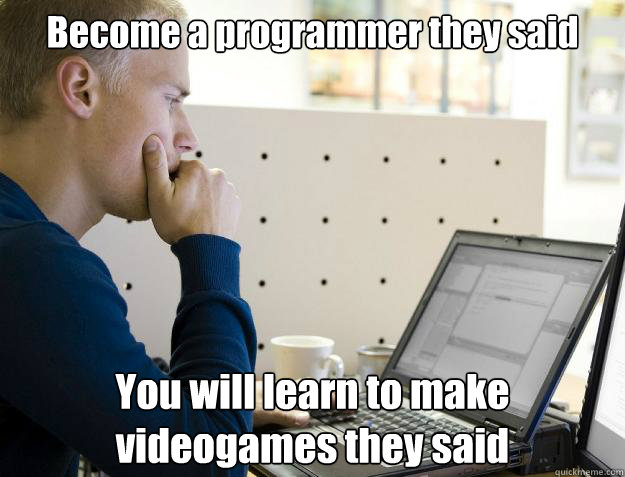 Become a programmer they said You will learn to make videogames they said  Programmer