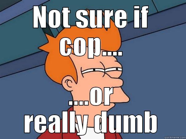 cop or dumb - NOT SURE IF COP.... ....OR REALLY DUMB Futurama Fry