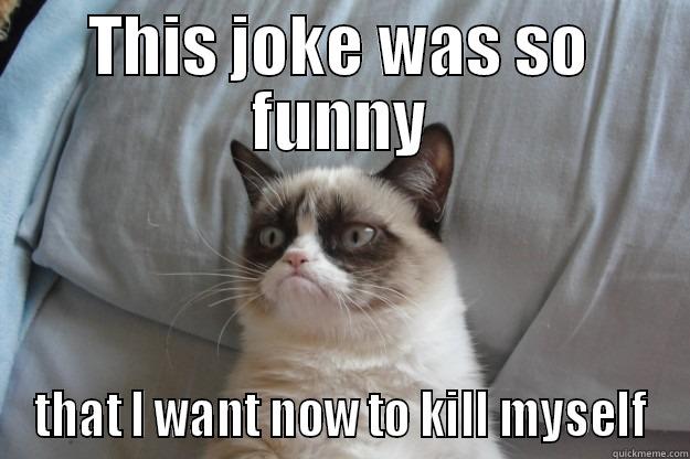 THIS JOKE WAS SO FUNNY THAT I WANT NOW TO KILL MYSELF Grumpy Cat