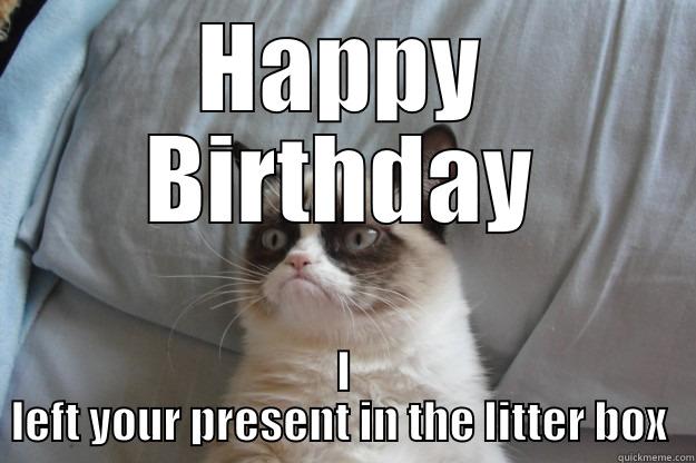 Grumpy Birthday - HAPPY BIRTHDAY I LEFT YOUR PRESENT IN THE LITTER BOX  Grumpy Cat