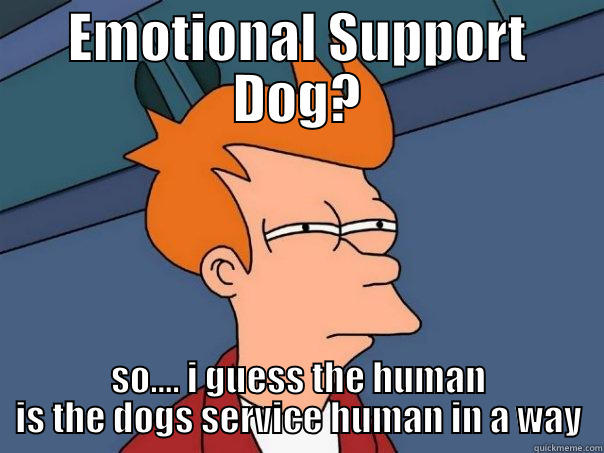 EMOTIONAL SUPPORT DOG? SO.... I GUESS THE HUMAN IS THE DOGS SERVICE HUMAN IN A WAY Futurama Fry