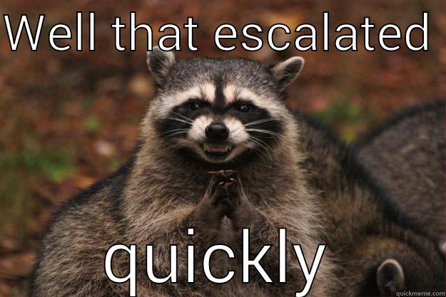 WELL THAT ESCALATED  QUICKLY Evil Plotting Raccoon