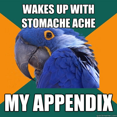 wakes up with stomache ache my appendix  Paranoid Parrot