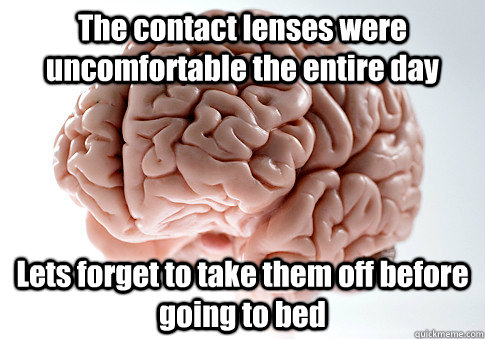 The contact lenses were uncomfortable the entire day Lets forget to take them off before going to bed  - The contact lenses were uncomfortable the entire day Lets forget to take them off before going to bed   Scumbag Brain