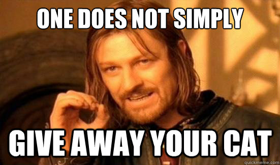 One Does Not Simply give away your cat  Boromir