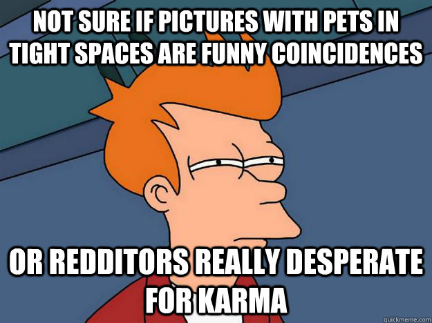 Not sure if pictures with pets in tight spaces are funny coincidences or redditors really desperate for karma - Not sure if pictures with pets in tight spaces are funny coincidences or redditors really desperate for karma  Skeptical fry