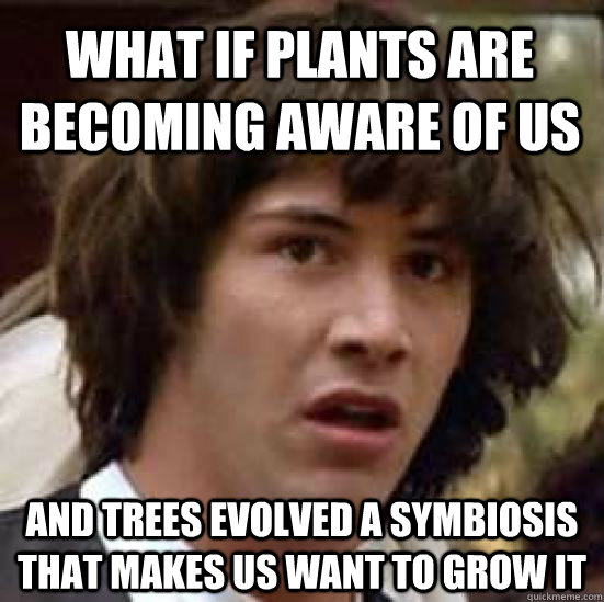 What if plants are becoming aware of us and trees evolved a symbiosis that makes us want to grow it - What if plants are becoming aware of us and trees evolved a symbiosis that makes us want to grow it  conspiracy keanu