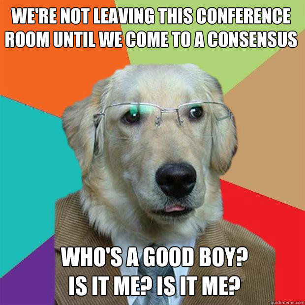 we're not leaving this conference room until we come to a consensus who's a good boy?
is it me? is it me?  