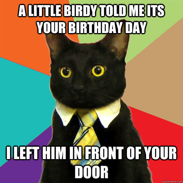 A little birdy told me its your Birthday Day I left him in front of your door   Business Cat