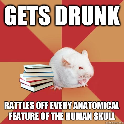 Gets drunk Rattles off every anatomical feature of the human skull   Science Major Mouse