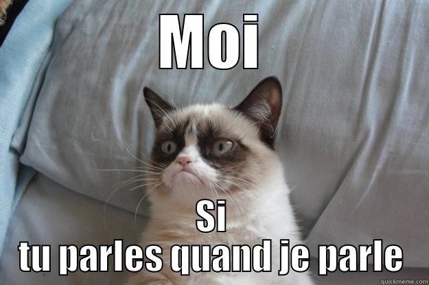 MOI SI TU PARLES QUAND JE PARLE Grumpy Cat