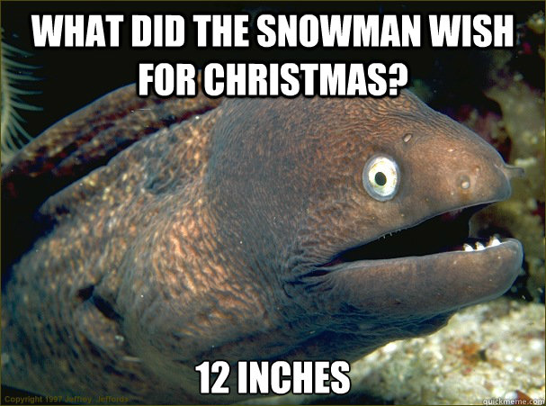 What did the snowman wish for Christmas? 12 inches - What did the snowman wish for Christmas? 12 inches  Bad Joke Eel