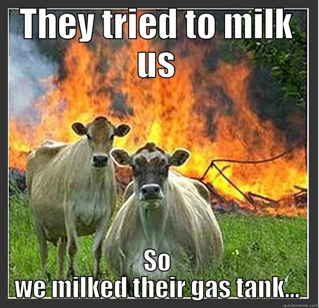 Don't milk evil cows - THEY TRIED TO MILK US SO WE MILKED THEIR GAS TANK... Evil cows