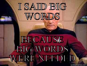 I SAID BIG WORDS BECAUSE BIG WORDS WERE NEEDED Misc